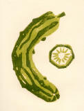 Kopie von silografia della serie 7 frutti, N� 2.jpg (33261 Byte)