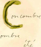 cocombre ombre.jpg (8449 Byte)