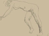 disegni_trasversali_3.jpg (23186 Byte)
